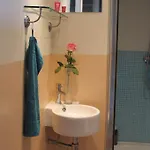 Wild Roses Amsterdam