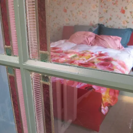 Wild Roses 암스테르담