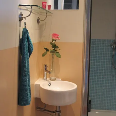 Wild Roses 암스테르담