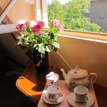 Wild Roses 암스테르담