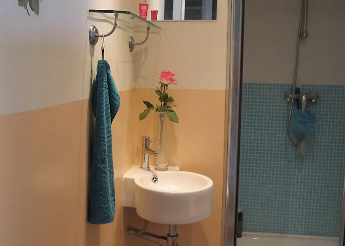 Wild Roses Amsterdam