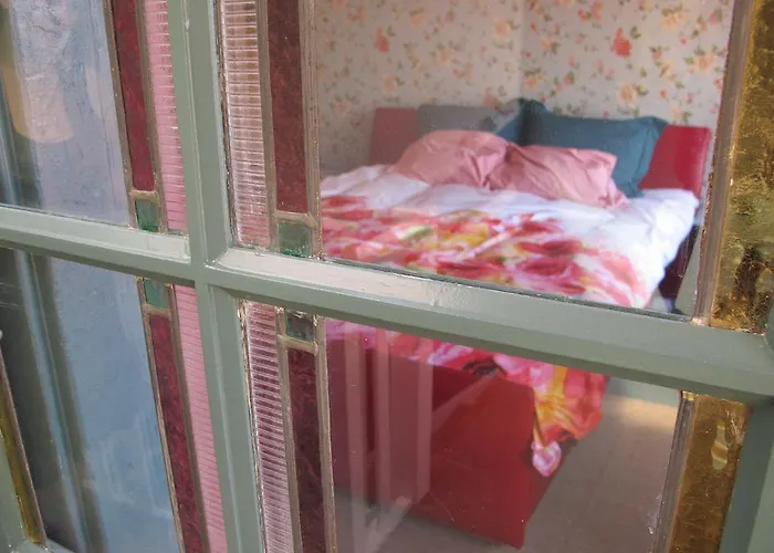 Wild Roses Amsterdam