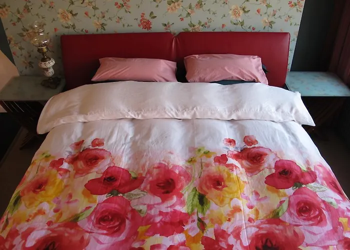 Wild Roses Amsterdam