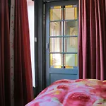 Wild Roses Amsterdam