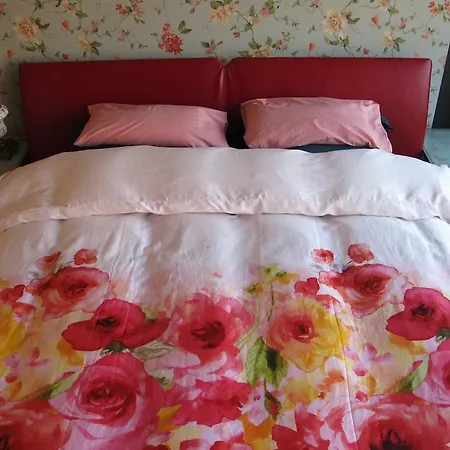 Wild Roses Amsterdam