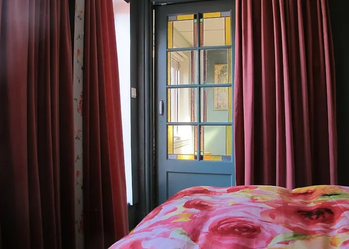 Wild Roses Amsterdam