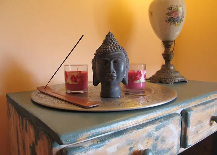 Maison d'hôtes Wild Roses Amsterdam