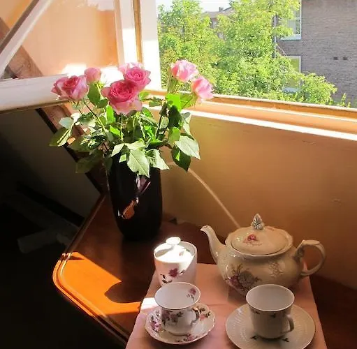 Wild Roses Amsterdam